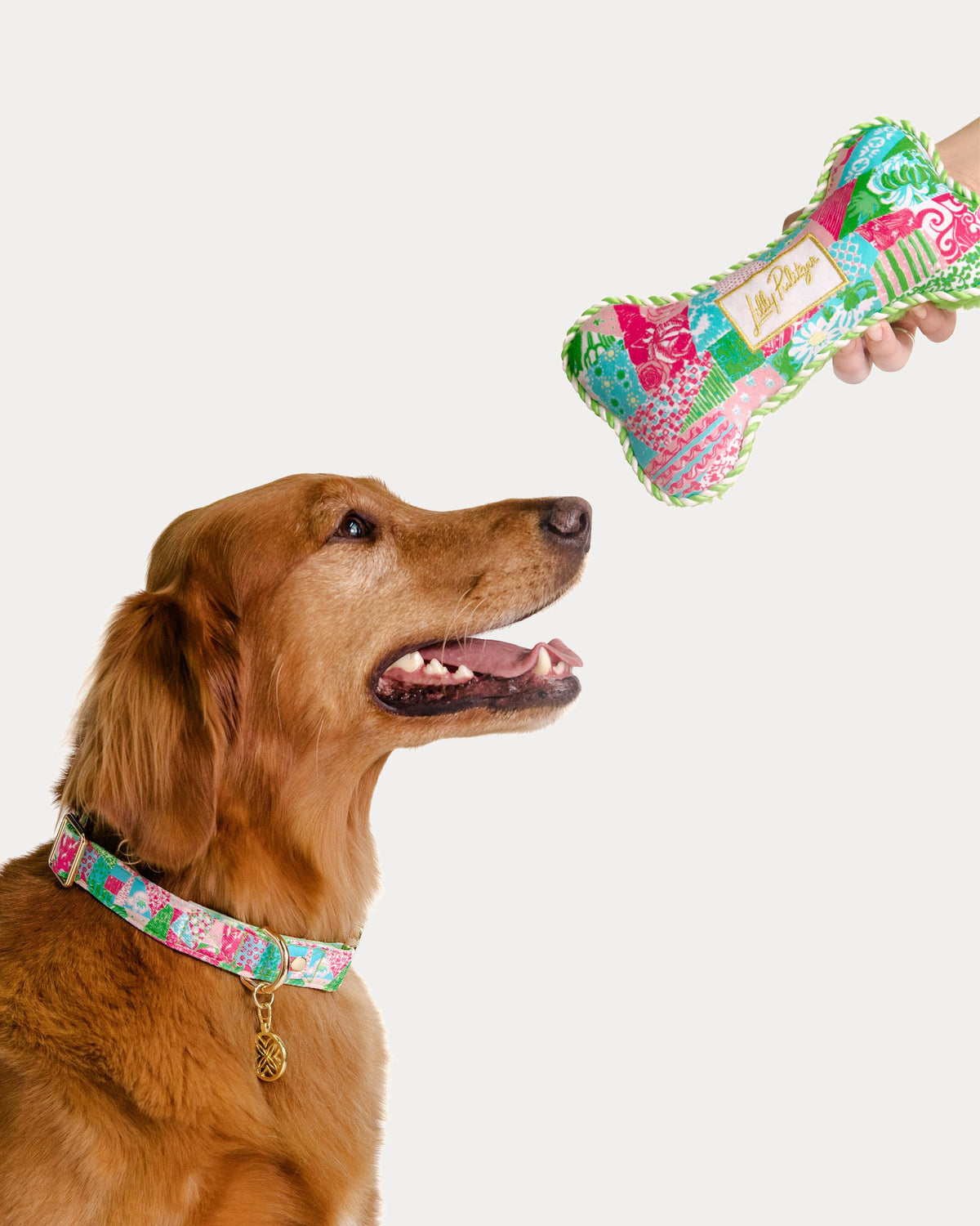 Pet Toy - Crazy Quilt Home