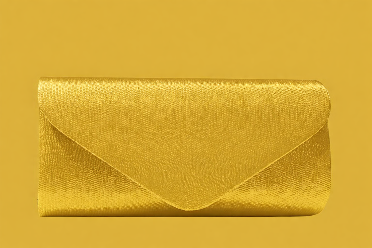 Fashion Clutch Bag