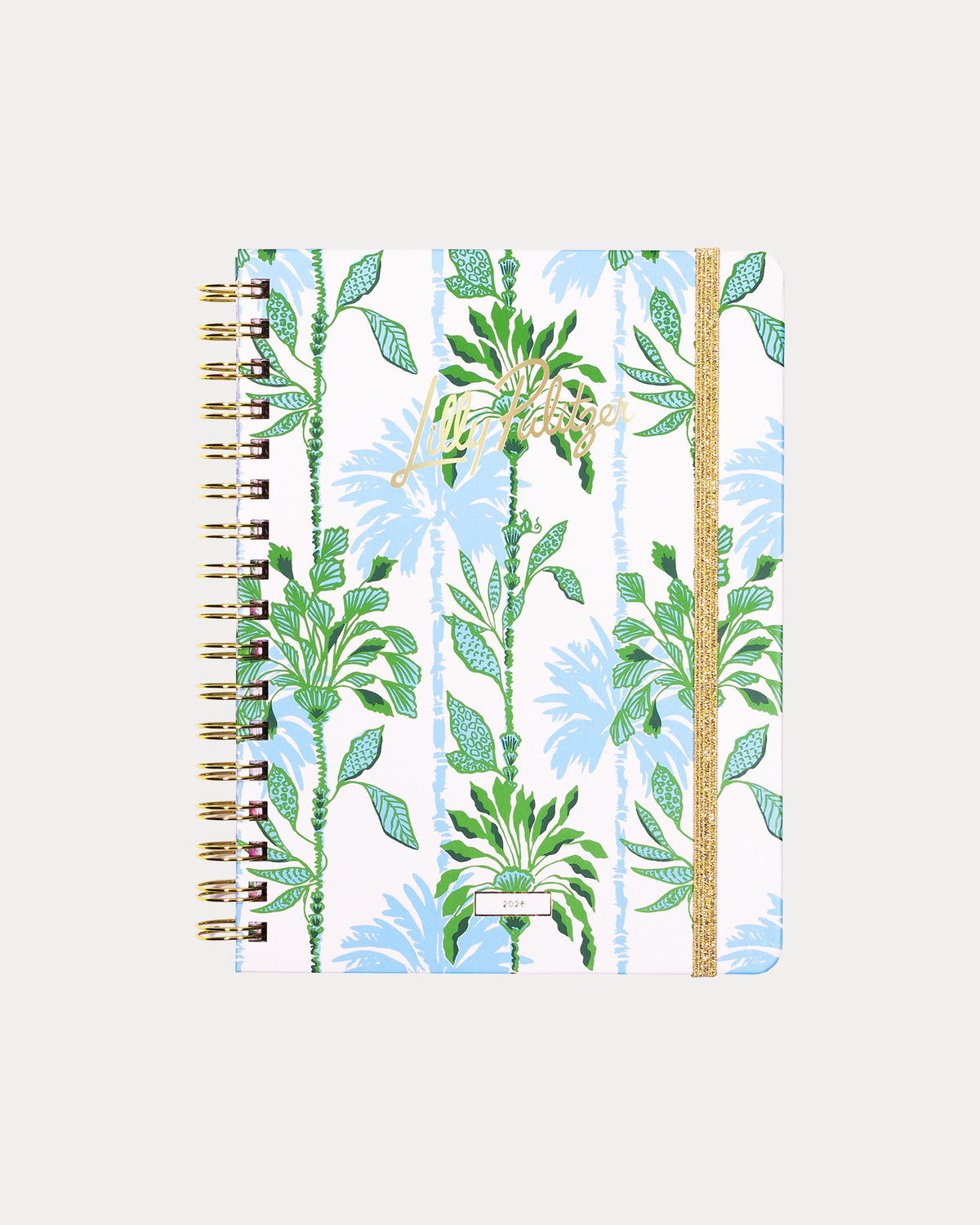 Lifeguard Press | Large 12 Month Agenda, Swayin