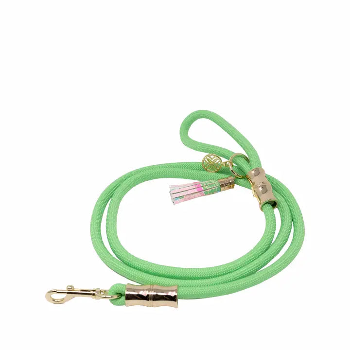 Lifeguard Press Pet Leash, Crazy Quilt Home Green dog leash with gold hardware