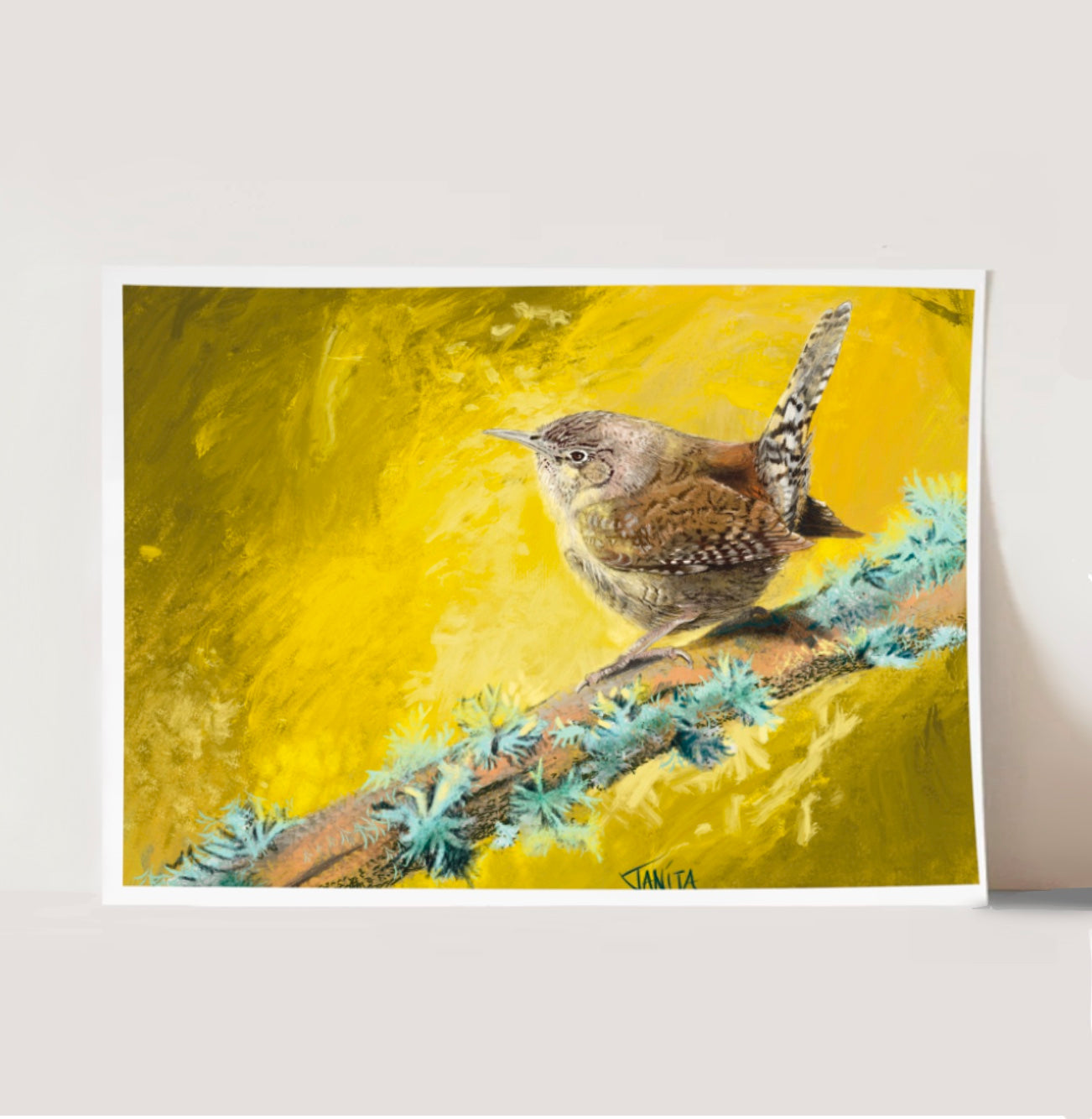 J Nelson | House Wrenn Print | J Nelson | Cloister Collection Designer Fashion