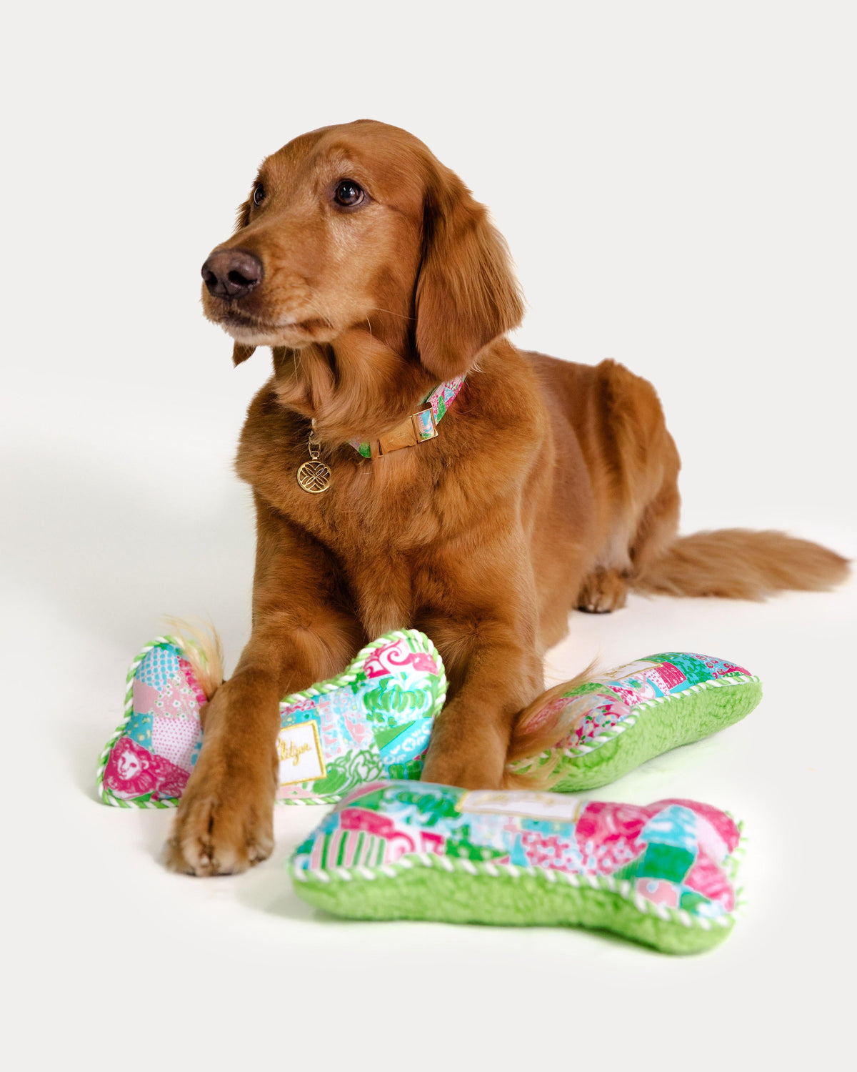 Pet Toy - Crazy Quilt Home