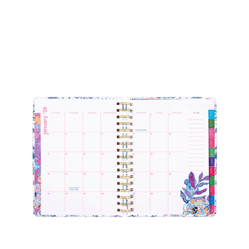 Lifeguard Press | 17 Month Monthly Planner, Reso