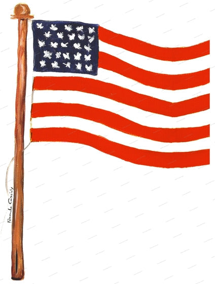 American Kitchen Towel