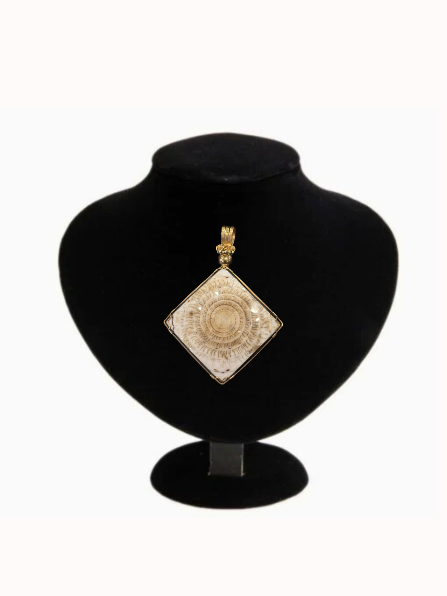 Starfire | Brazilian Fossilized Shell