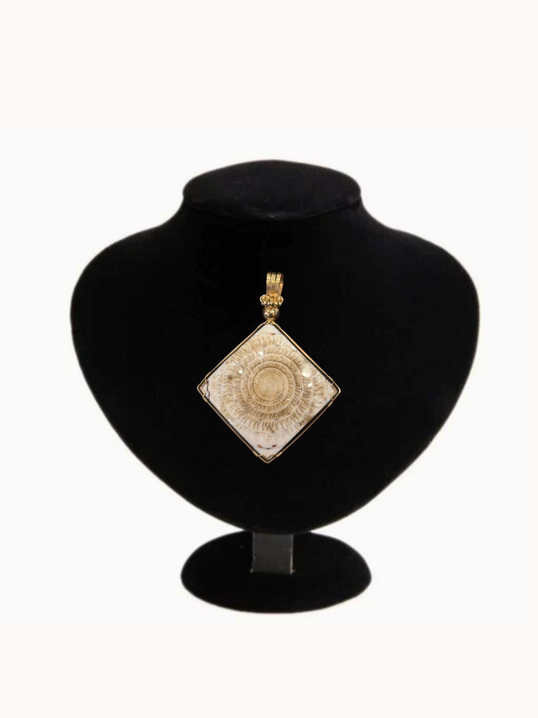 Starfire | Brazilian Fossilized Shell