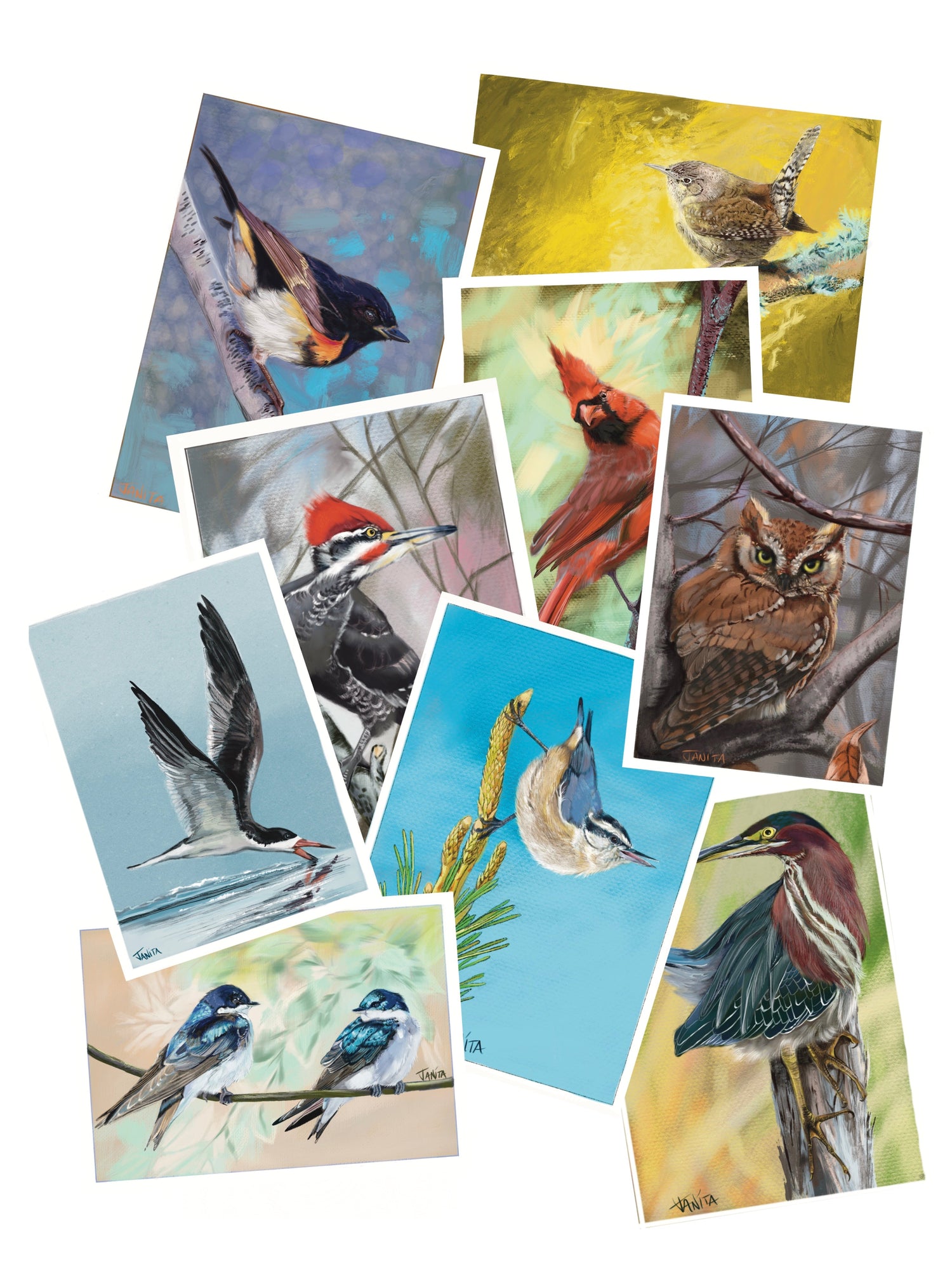 J Nelson | Cumberland Island Cards 10 Pack