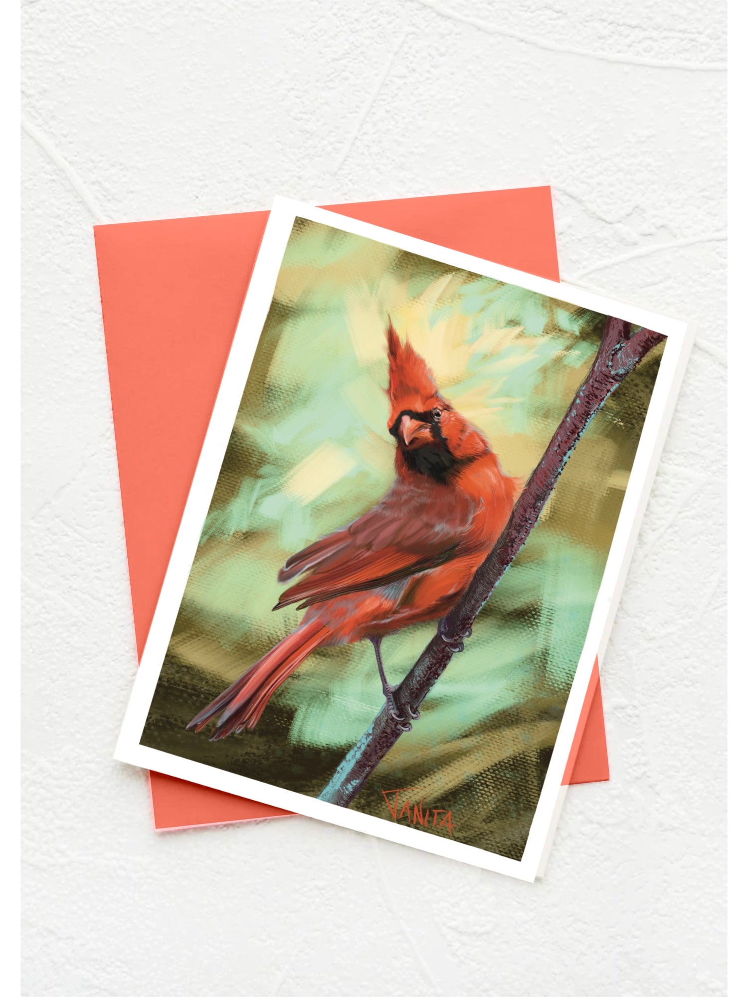 J Nelson | Cumberland Island Cards 10 Pack