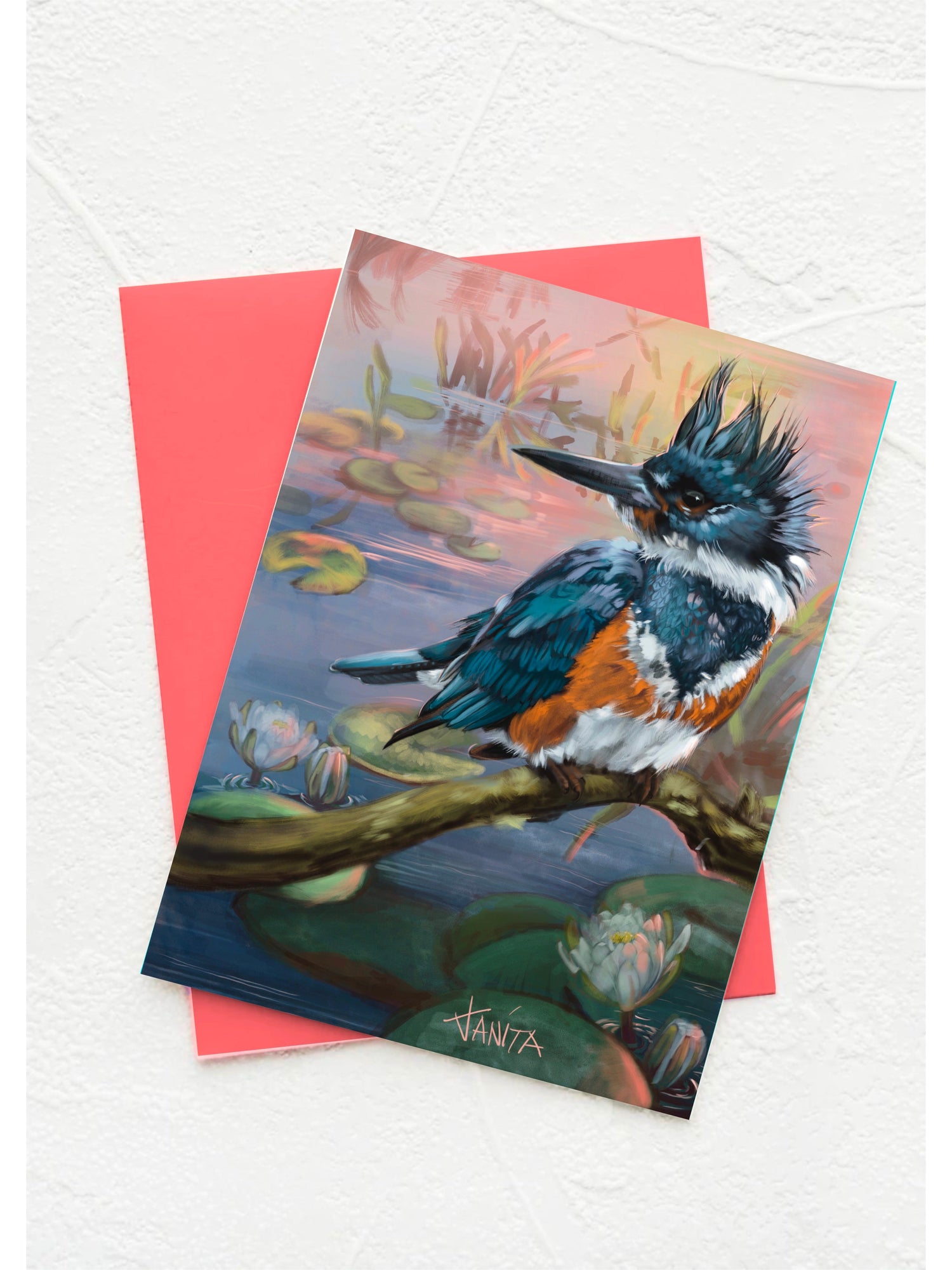 J Nelson | Birds Okeefenokee  Cards 10 Pk | J Nelson | Cloister Collection Designer Fashion