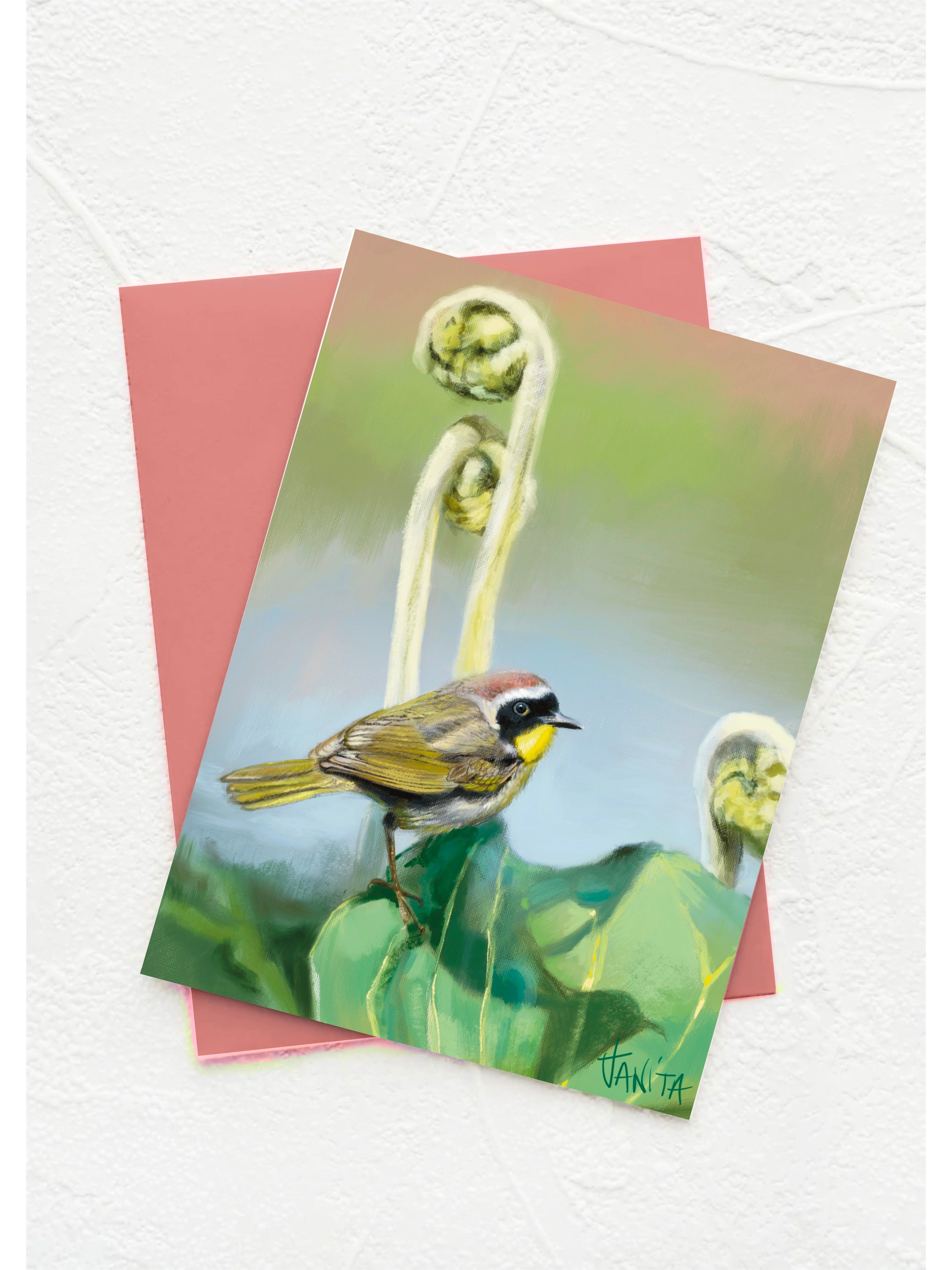 J Nelson | Birds Okeefenokee  Cards 10 Pk | J Nelson | Cloister Collection Designer Fashion