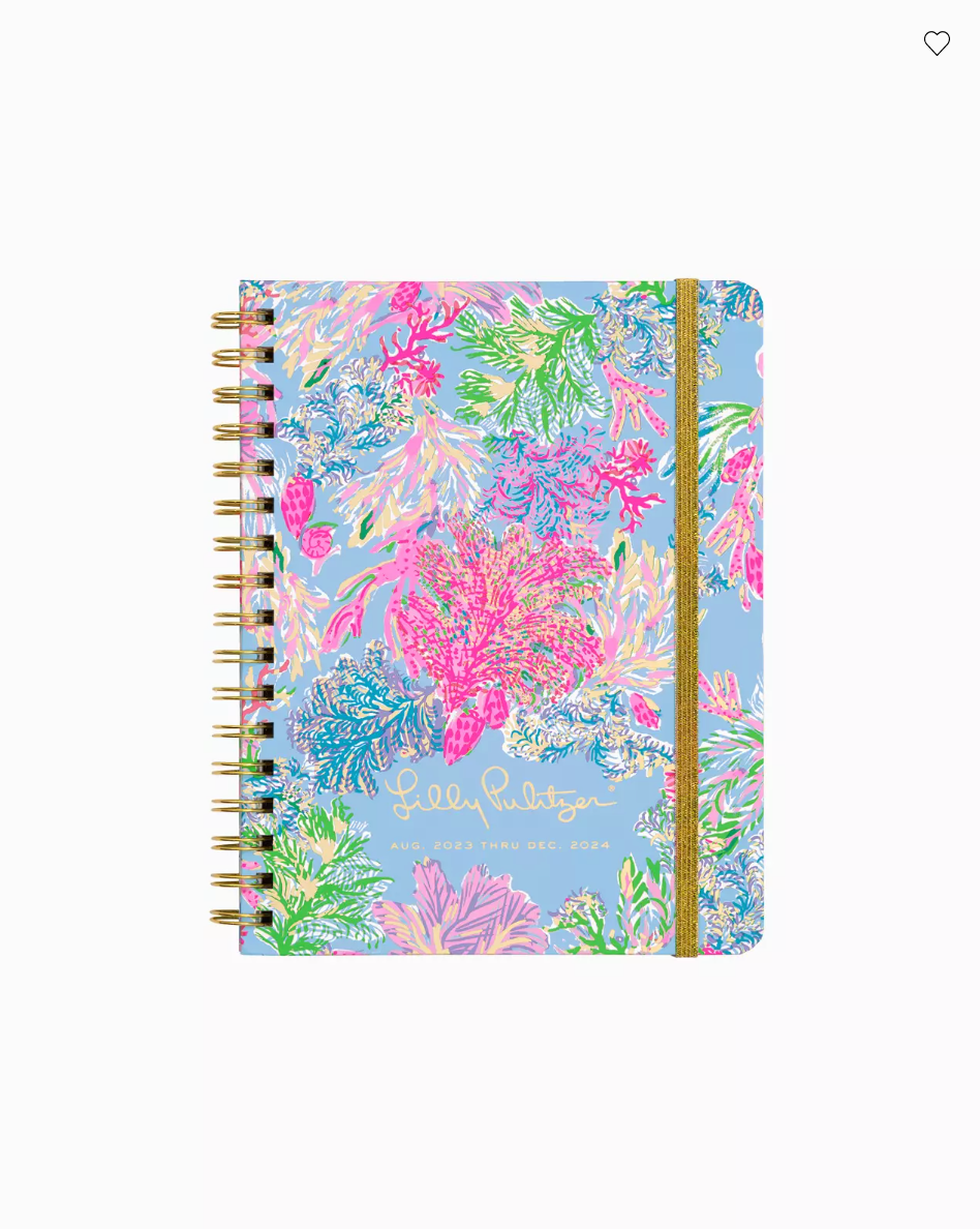 Lifeguard Press | 17 Month Monthly Planner, Cay