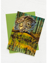 Load image into Gallery viewer, J Nelson | Birds Okeefenokee  Cards 10 Pk
