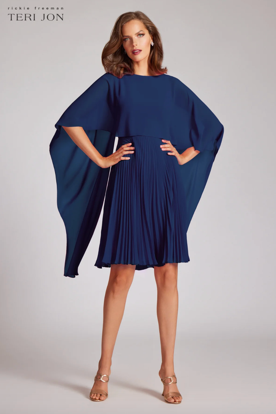 Teri Jon | Pleated Dress W/overlay