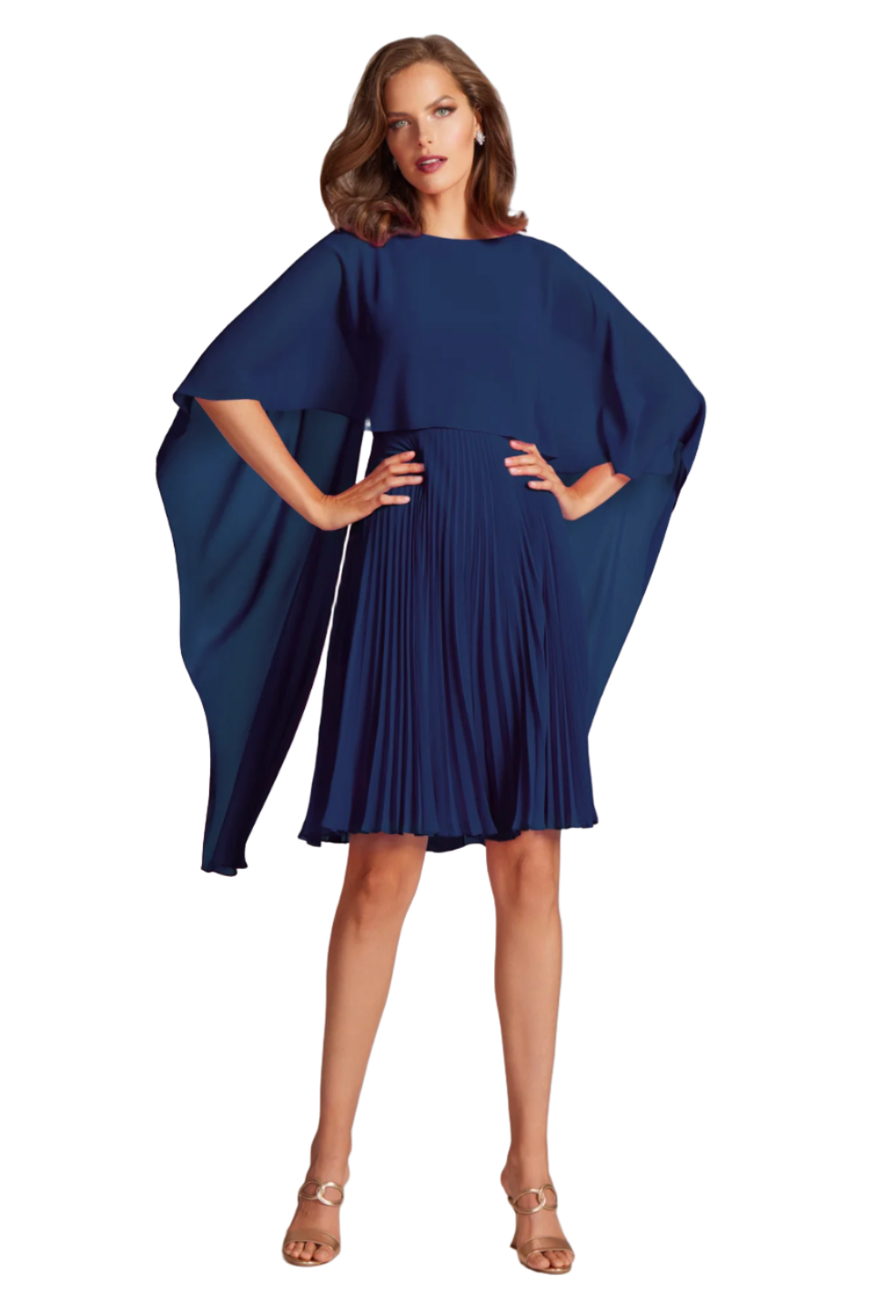 Teri Jon | Pleated Dress W/overlay