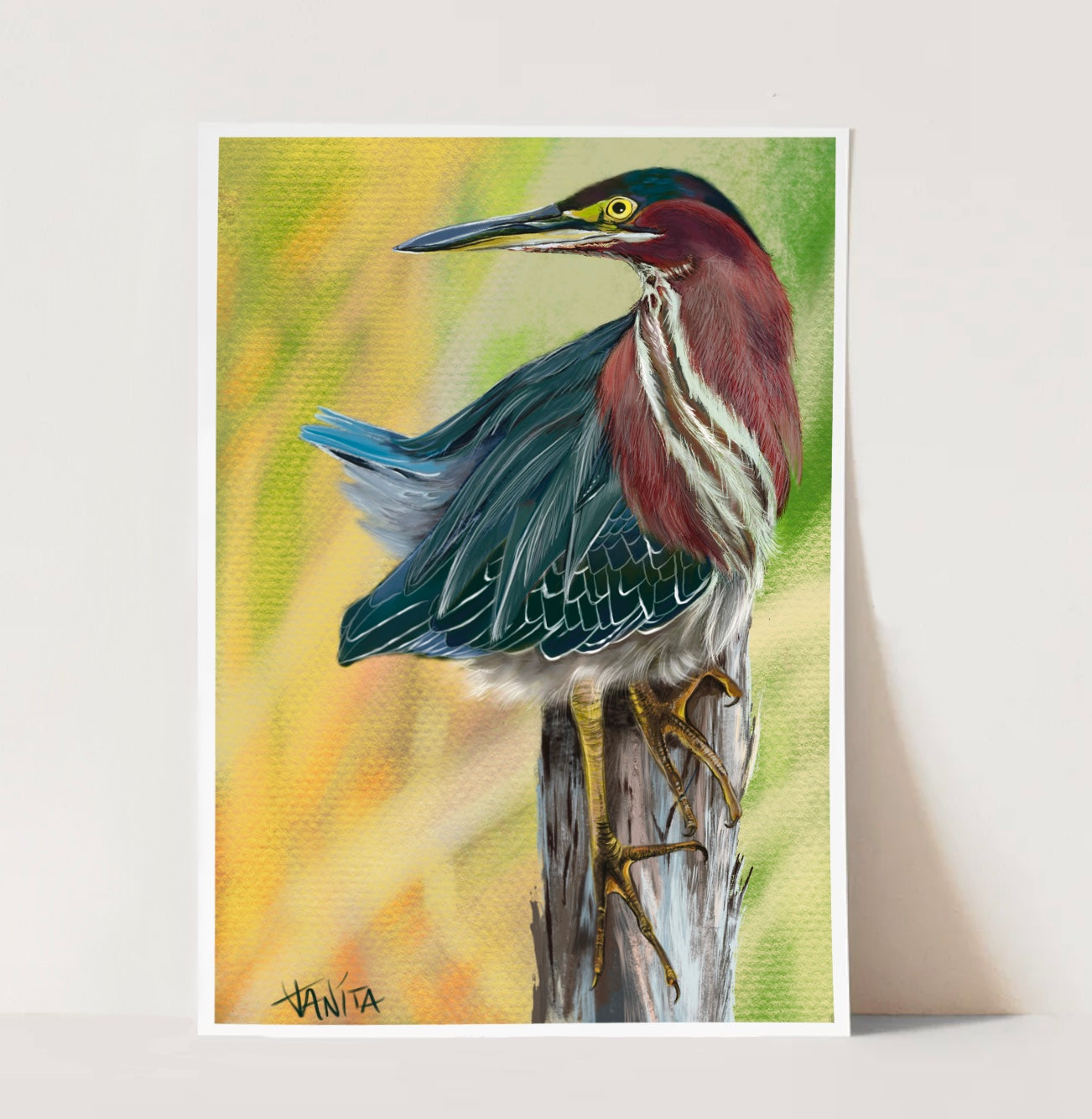 J Nelson | Green Heron Print