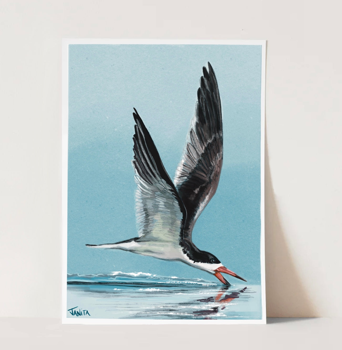 J Nelson | Black Skimmer Print