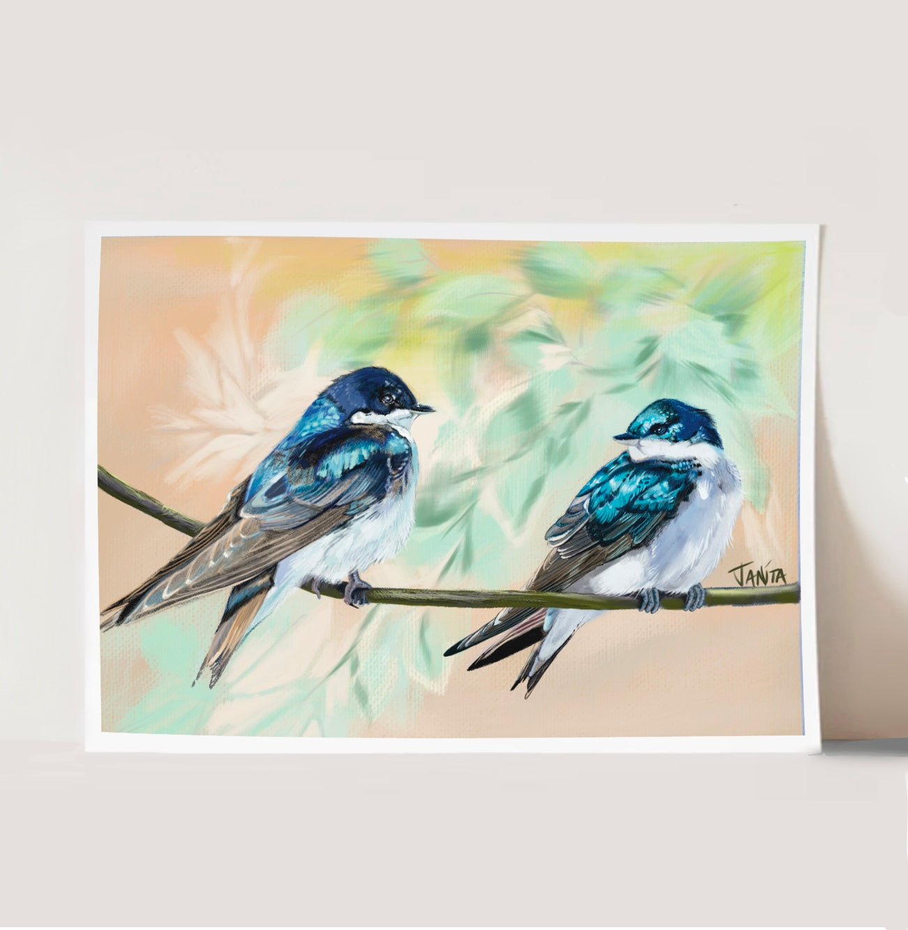 J Nelson | Tree Swallow  Print