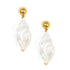 Zenzii Iridescent Seashell Earring with gold tops and white, seashell -shaped drops 