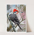 J Nelson | J Nelson | Pileated Woodpecker Print | Cloister Collection | WS