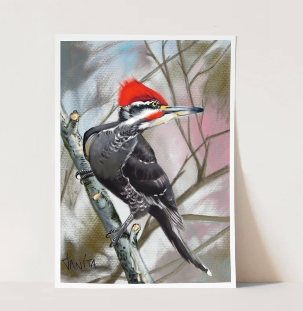 J Nelson | Pileated Woodpecker Print